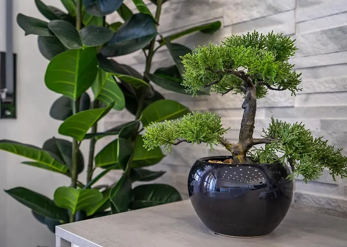 公寓 Rocha Solmonte 波尔蒂芒