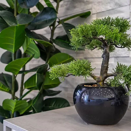 Daire Rocha Solmonte Portimão